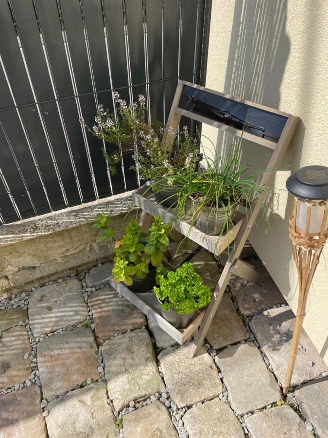Agreable Maison 3* En Bord De Mer ディエップ エクステリア 写真